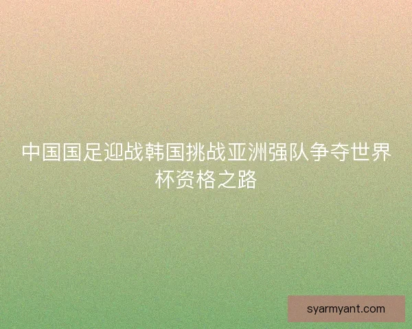 中国国足迎战韩国挑战亚洲强队争夺世界杯资格之路